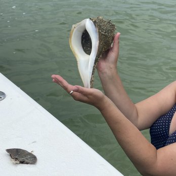New Wave Eco Charters - Found at the shallow water stop! - Boat Charters Near Me - Captiva, Florida