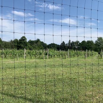 Michael Angelo's Winery - Vineyard - Wineries Near Me - Richfield, Ohio Michael Angelo's Winery - Vineyard - Wineries Near Me - Richfield, Ohio