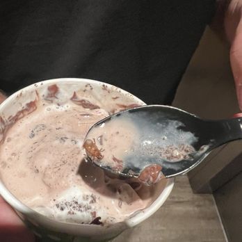 Mooos Creamery - Ice Cream & Frozen Yogurt Near Me - Yuma, Arizona Mooos Creamery - Ice Cream & Frozen Yogurt Near Me - Yuma, Arizona