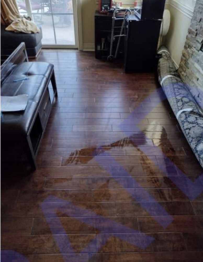 THE BIOCLEAN TEAM Updated August 2024 48 Photos & 28 Reviews San Diego, California