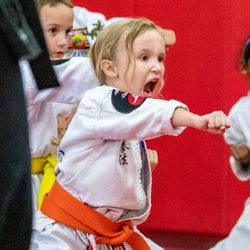 United Studios of Self Defense - Yorba Linda - Karate for young girls develops confidence and strength.