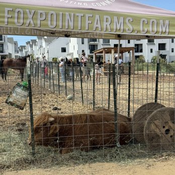 Fox Point Farms - Friendly animals - Venues & Event Spaces Near Me - Encinitas, California