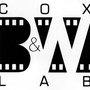 Photo of Cox Black & White Lab