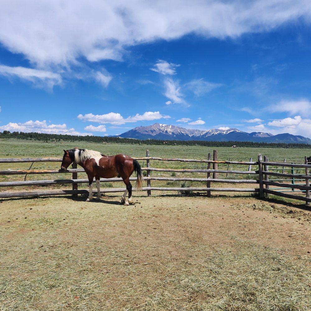 The corral where you meet your horse The corral where you meet your horse