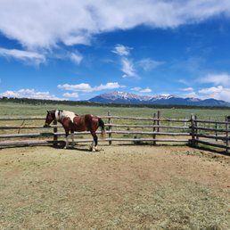 The corral where you meet your horse - A brown and white horse is standing in a fenced paddock on a ranch, with a wooden fence surrounding the area. The background features a vast green landscape, distant mountains with snow-capped peaks, and a partly cloudy blue sky. The scene captures a rural setting with open space and natural scenery.
