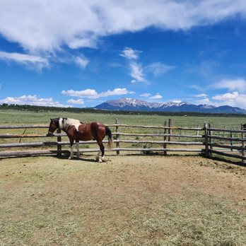 Baker Ranch - The corral where you meet your horse - A brown and white horse is standing in a fenced paddock on a ranch, with a wooden fence surrounding the area. The background features a vast green landscape, distant mountains with snow-capped peaks, and a partly cloudy blue sky. The scene captures a rural setting with open space and natural scenery. - Horseback Riding Near Me - Placerville, Colorado