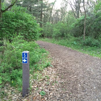 Greene Valley County Forest Preserve - Hiking Near Me - Naperville, Illinois