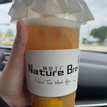 Nature Brew - Happy fruit tea - Bubble Tea Near Me - Carrollton, Texas Nature Brew - Happy fruit tea - Bubble Tea Near Me - Carrollton, Texas