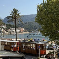 Port de Soller - 8.14.2025