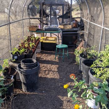 Artemisia Academy - Want to learn more? visit our instagram: @artemisiaacademy or our website www.artemisiaacademy.com - Specialty Schools Near Me - Santa Barbara, California