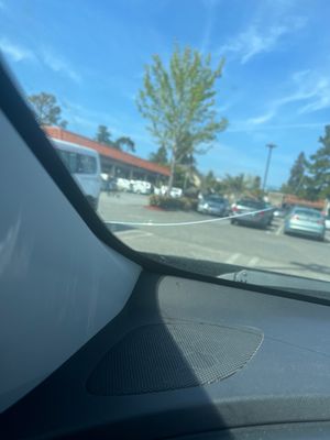 ACTION AUTO GLASS - Updated June 2025 - 11 Photos & 121 Reviews - 2701