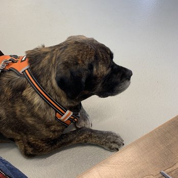 Atchison Animal Clinic - Veterinarians Near Me - Atchison, Kansas