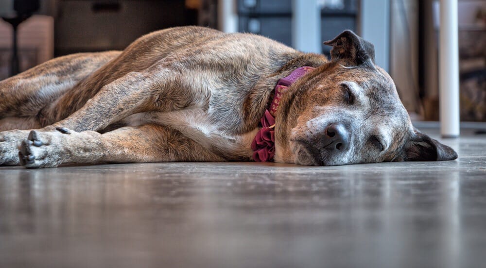 THE COSTANTINO GROUP Updated April 2024 10 Photos 405 W Foothill