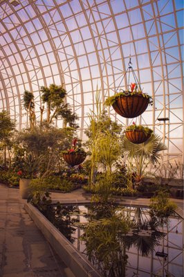 Myriad Botanical Gardens by null