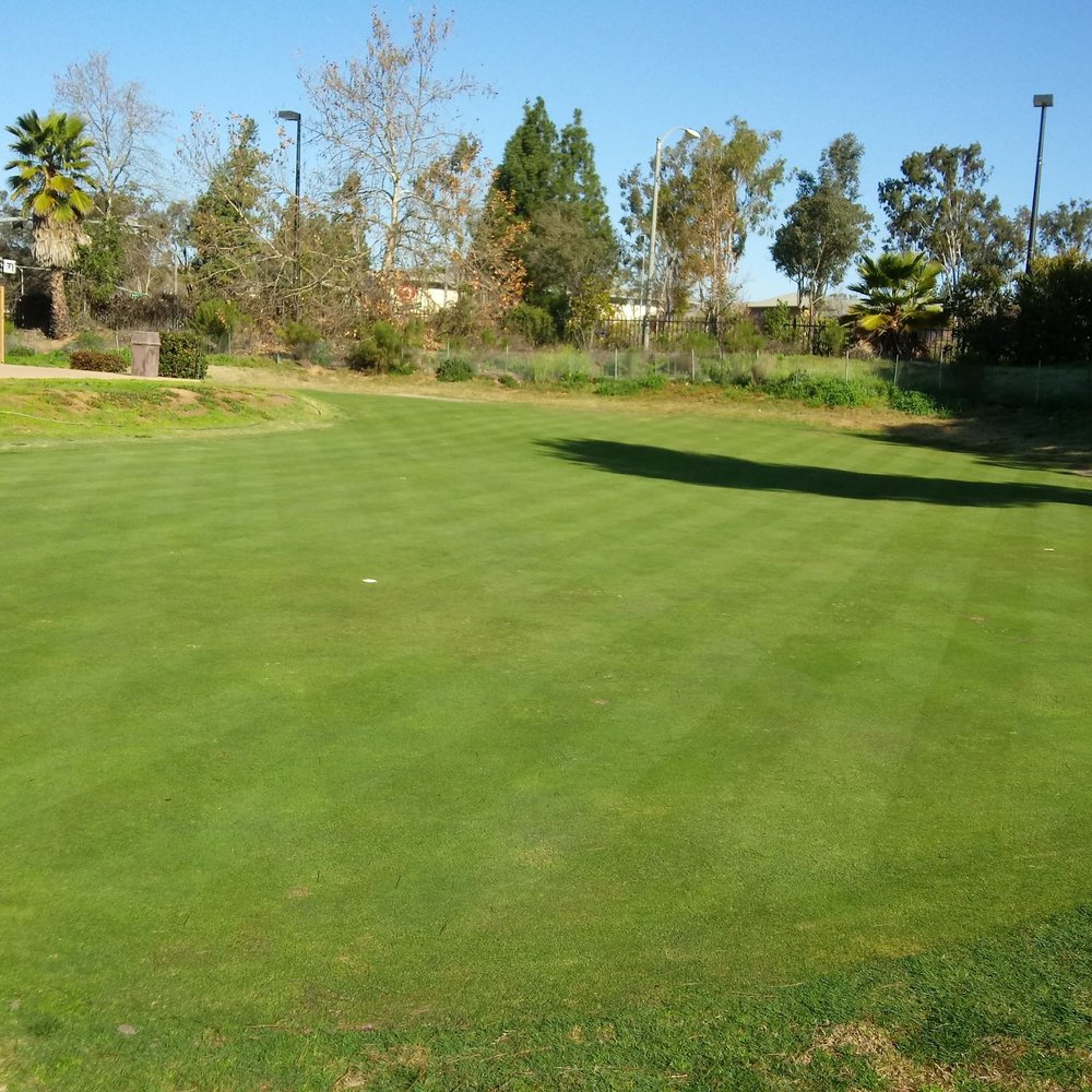 Putting green is in great shape and getting faster. Putting green is in great shape and getting faster.