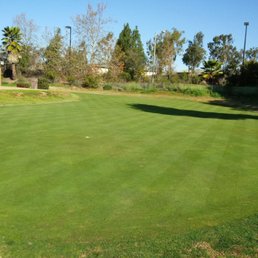 Putting green is in great shape and getting faster. Putting green is in great shape and getting faster.