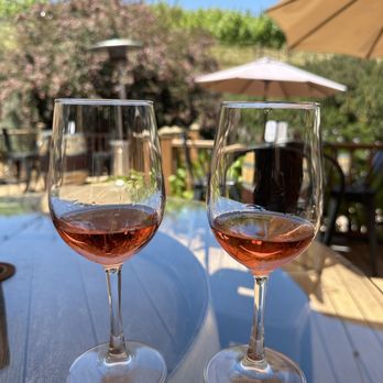 Big Dog Vineyards - Wine tasting - Venues & Event Spaces Near Me - Milpitas, California