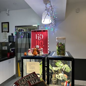 DD Mau - Coffee & Tea Near Me - Cerritos, California DD Mau - Coffee & Tea Near Me - Cerritos, California