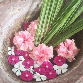 El Dorado Beach Resort - Floating flowers on huge pots. - Resorts Near Me - Dauin, NER