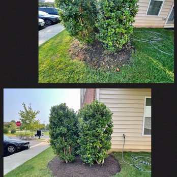 Ventura Landscaping - Tree Services Near Me