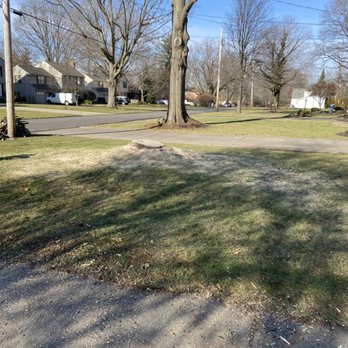 Walker Tree Services - a view of a residential neighborhood - Tree Services Near Me Walker Tree Services - a view of a residential neighborhood - Tree Services Near Me