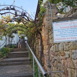 Weingut Jung - Sehr nützliche Hinweise!