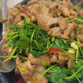 Dan Gui Sichuan Cuisine - Szechuan Near Me - Bellevue, Washington