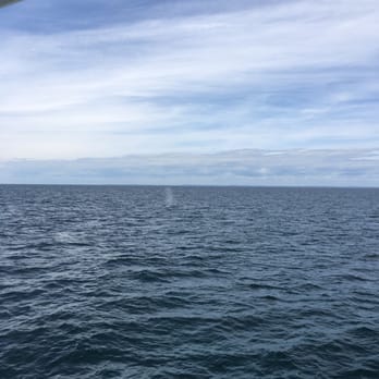 Cap'n Fish's Cruises - Boat Charters Near Me - Boothbay Harbor, Maine