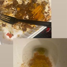 Carne asada fries and round Two of my vomit this morning Carne asada fries and round Two of my vomit this morning