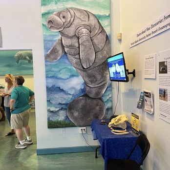Manatee Center - Displays - Children's Museums Near Me - Fort Pierce, Florida