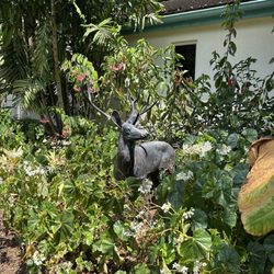 Deerfield Beach Arboretum