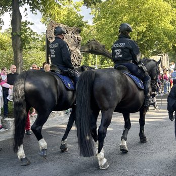 Filmpark Babelsberg - Filmpark Babelsberg | Jubiläum 75 Jahre Bundespolizei am 13.6.2026 - Amusement Parks Near Me - Potsdam, BB Filmpark Babelsberg - Filmpark Babelsberg | Jubiläum 75 Jahre Bundespolizei am 13.6.2026 - Amusement Parks Near Me - Potsdam, BB