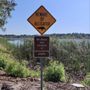 Photo of Rosser Lake Preserve