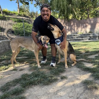 Paws And Reflect Dog Training - The pups absolutely loved Hector and had a blast learning from him! - Pet Training Near Me Paws And Reflect Dog Training - The pups absolutely loved Hector and had a blast learning from him! - Pet Training Near Me