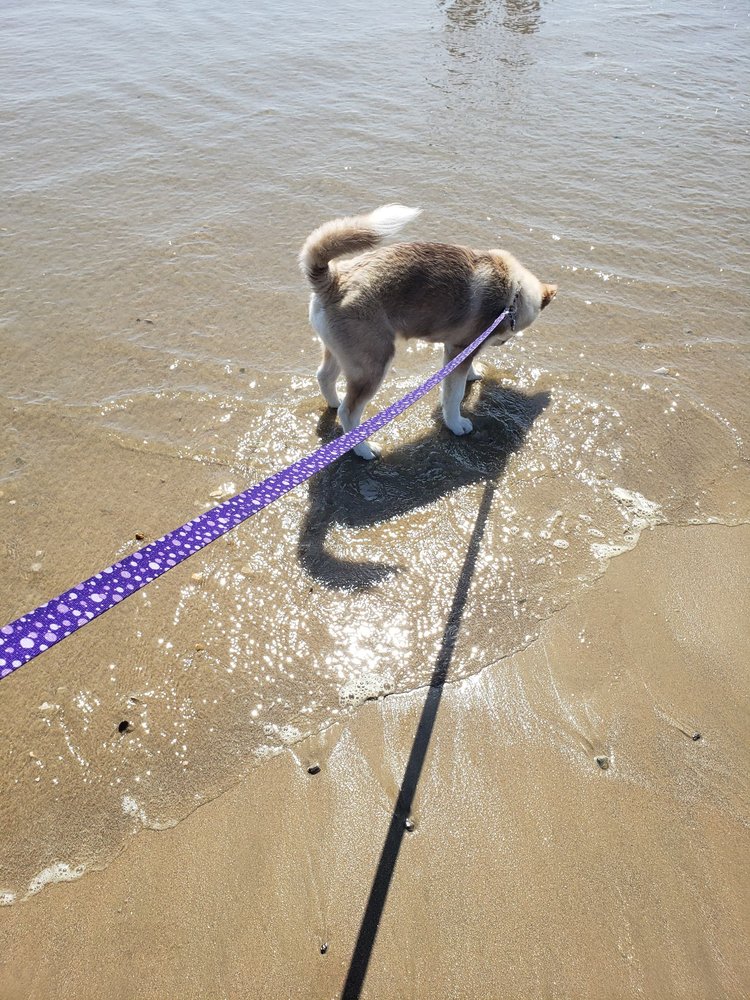 CORNERSTONE FARMS Updated May 2024 51 Photos & 17 Reviews 6529 Hwy V, Curryville, Missouri