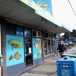 BORONIA Aquarium & Reptiles