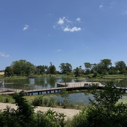 Nature Boardwalk at Lincoln Park Zoo