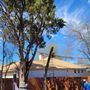 Photo of L&I Tree Service and More
