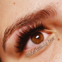 The Beauty Box - Eyelashes & Brows