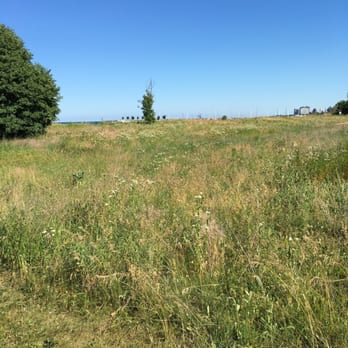 31st Street Beach - Prairie grass project it smells so sweet - Beaches Near Me - Chicago, Illinois 31st Street Beach - Prairie grass project it smells so sweet - Beaches Near Me - Chicago, Illinois