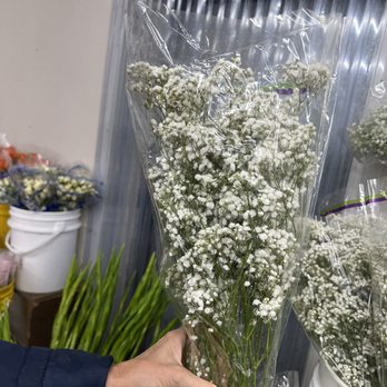 Carlstedt Oscar G - Baby's breath - Florists Near Me - Tampa, Florida