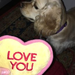 valentine's day you! valentine's day you!