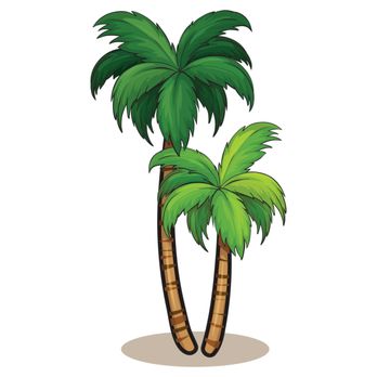 Healing Palms Massage - Healing Palms Massage - Massage Therapy Near Me - Brandon, Florida Healing Palms Massage - Healing Palms Massage - Massage Therapy Near Me - Brandon, Florida
