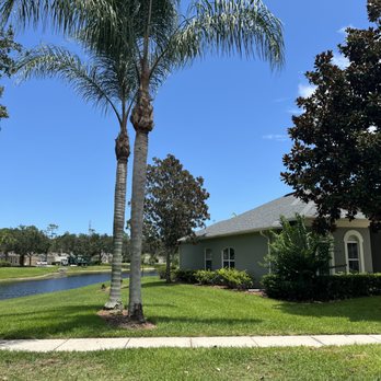 Branchin Off Tree Services - Tree Services Near Me