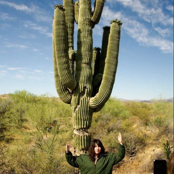 Rob's Red Jeep Rambles - Me immersed in the cactus life - Tours Near Me - Casa Grande, Arizona Rob's Red Jeep Rambles - Me immersed in the cactus life - Tours Near Me - Casa Grande, Arizona