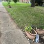 Sg Landscaping