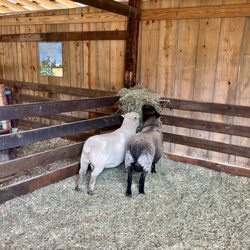 Griffin Farms