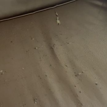 The Reserve by Cardinal Group Properties - Condition of the couch. - Apartments Near Me - Mt Pleasant, Michigan