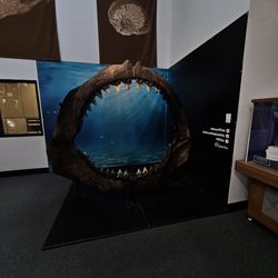 Ralph B. Clark Paleontology Museum