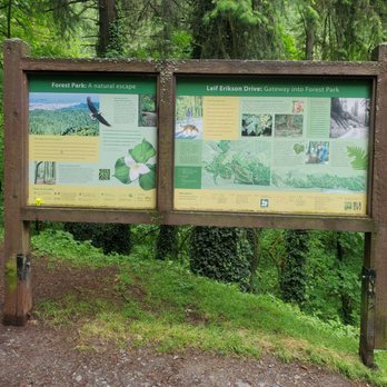 Forest Park - Parks Near Me - Portland, Oregon
